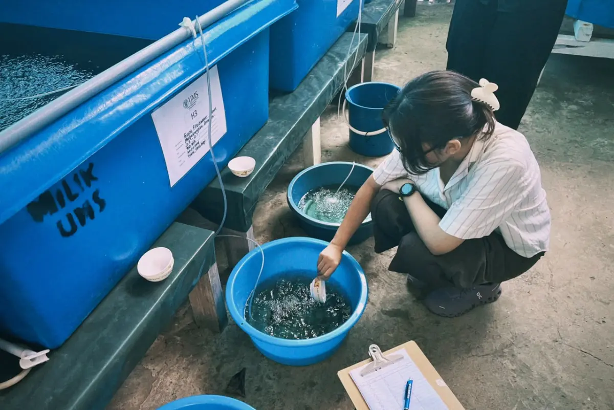 Mahasiswa BBK Internasional 8 UNAIR Mempelajari Teknologi Hatcheri Ikan dan Krustasea di Universiti Malaysia Sabah